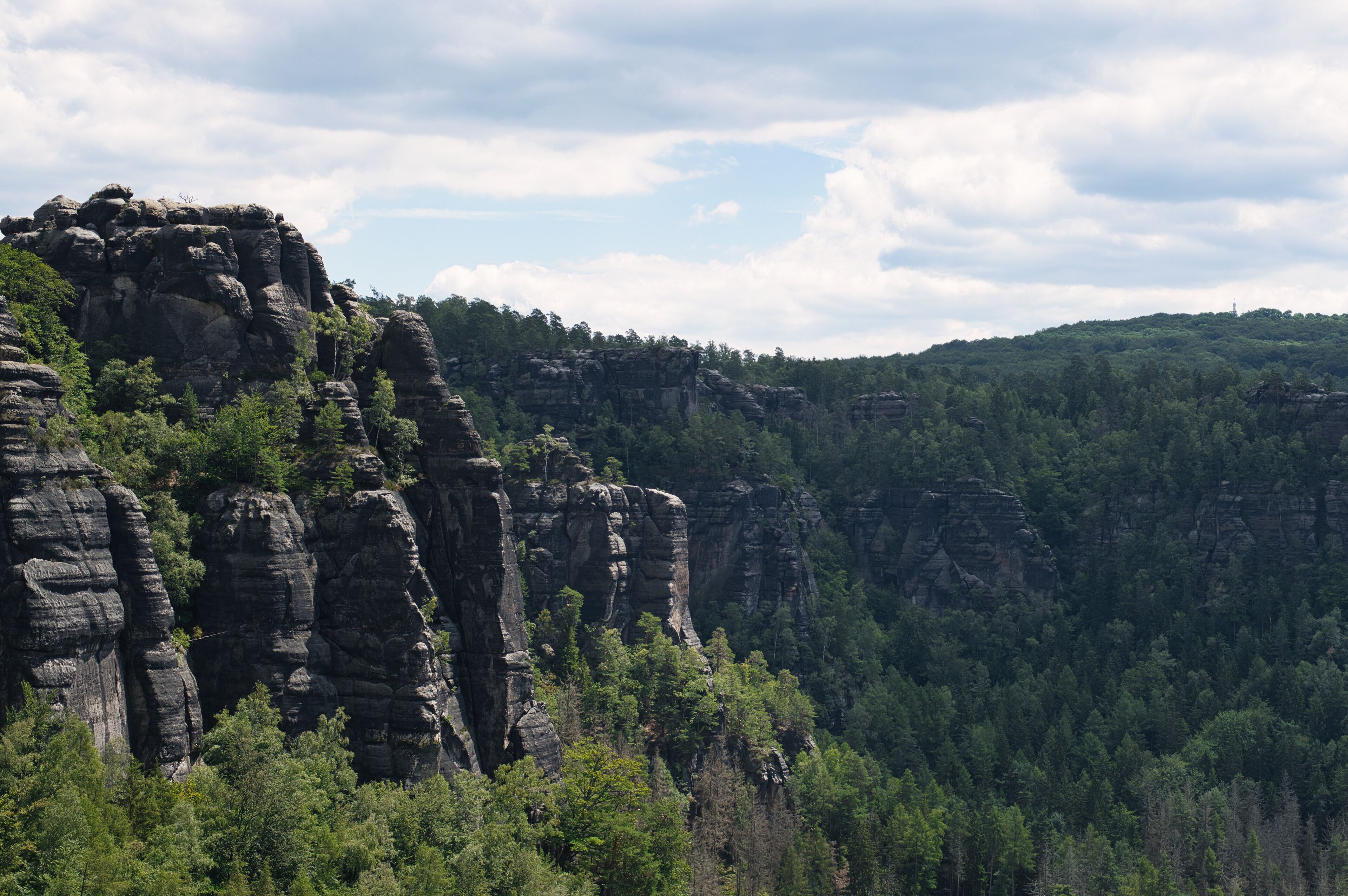 A rugged cliff with layered rock formations and dense forest.