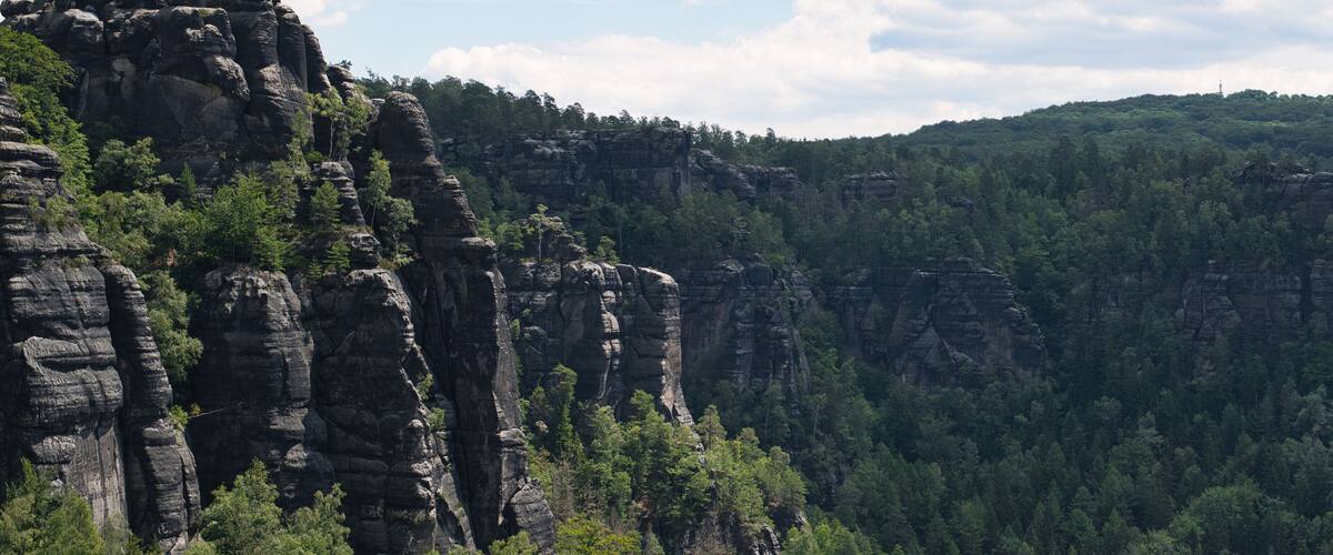 A rugged cliff with layered rock formations and dense forest.