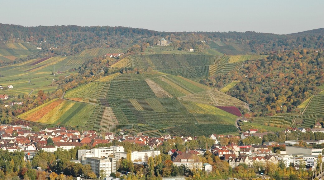Blick zur Grabkapelle auf dem Württemberg (Gemahlin Katharina, 1820-1821)