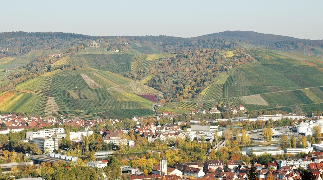 Blick in's Neckartal