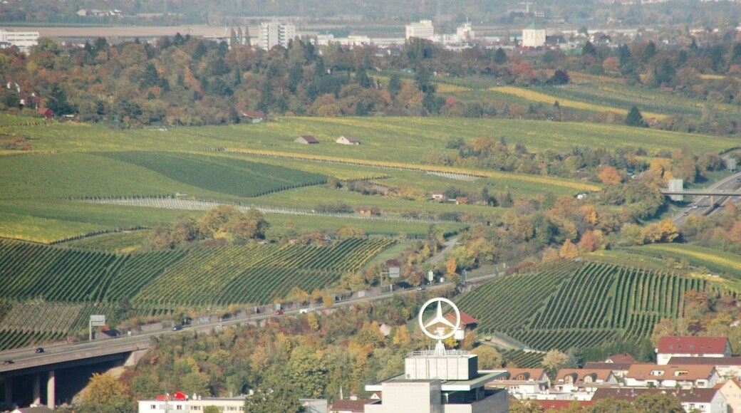 B14 Stuttgart - Waiblingen