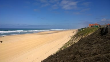 A wide sandy beach with gentle waves, a grassy embankment, and a few buildings in the background.