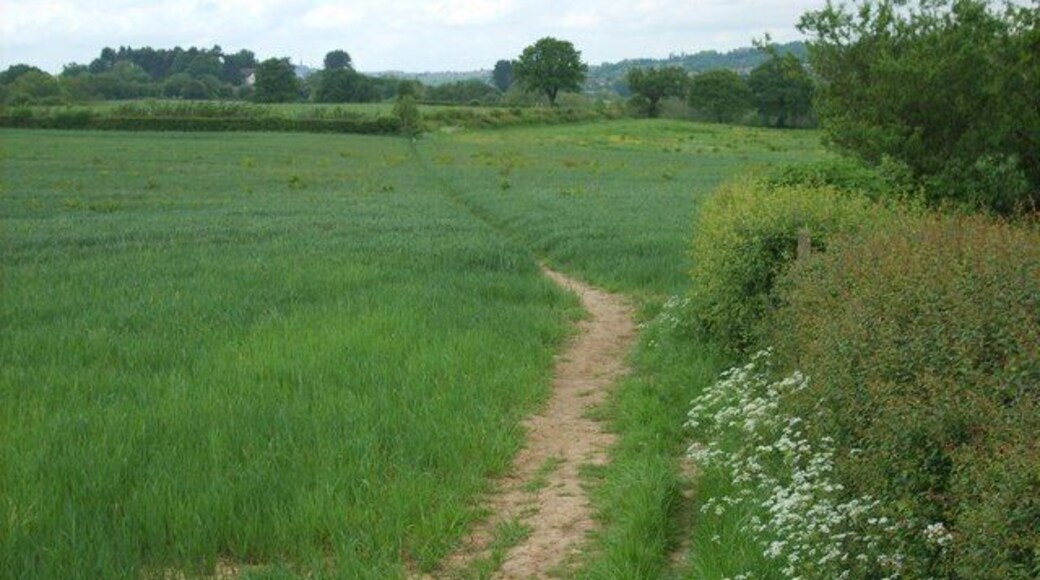 Well-worn Path Looking south on a footpath near Hunnington.
