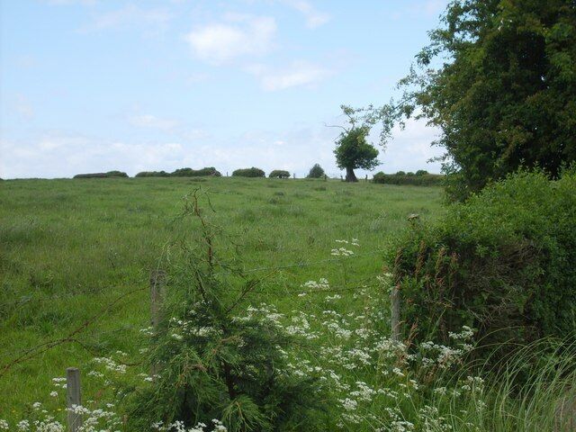 Oatenfields Fields along side the B4551 part of Oatenfields Farm.