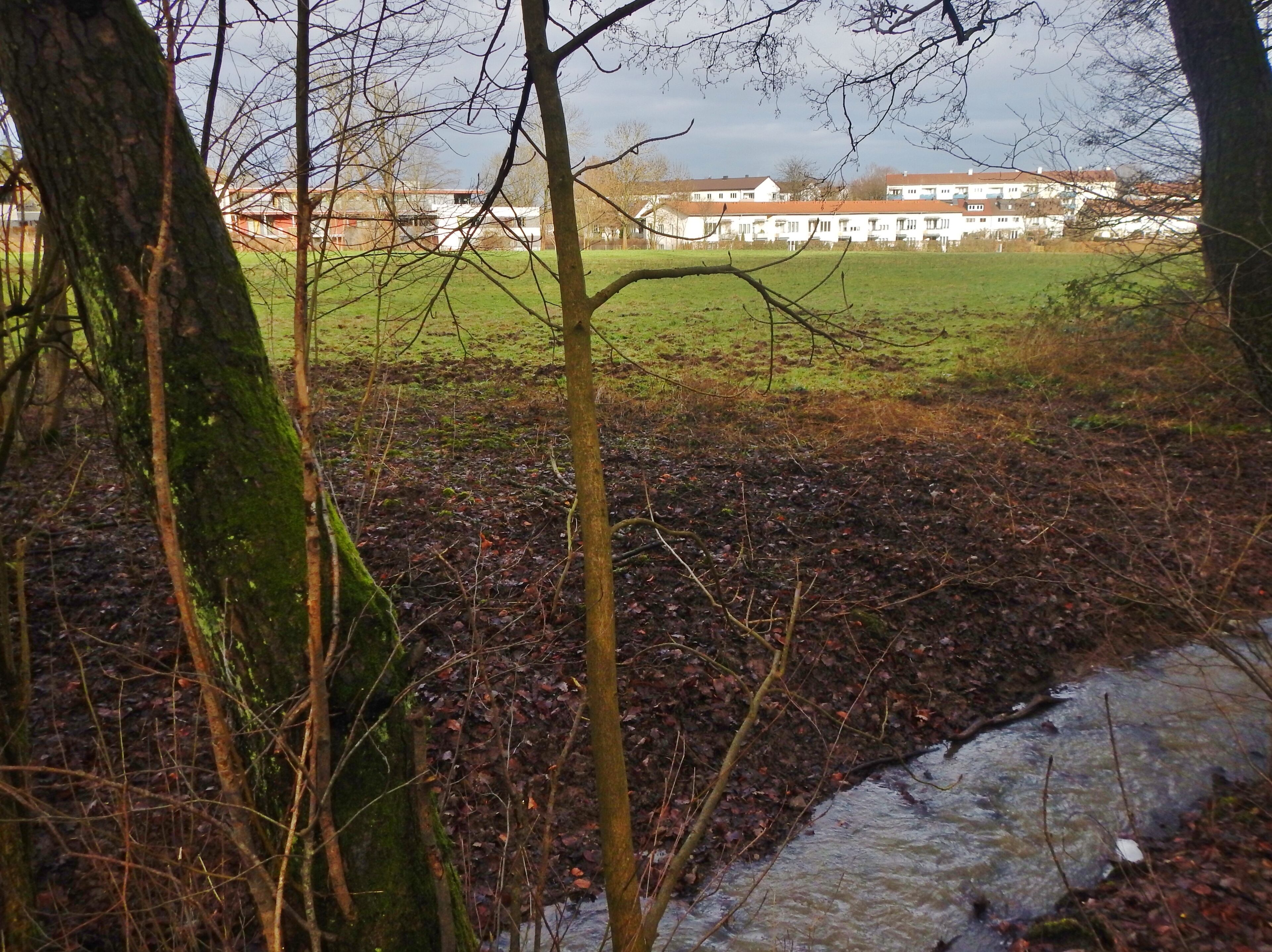 Blick nach Wolfbusch