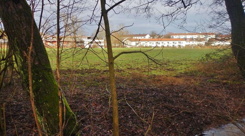 Blick nach Wolfbusch