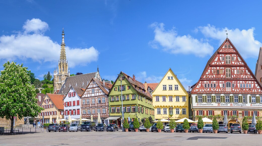 A colorful street with traditional half-timbered houses, a church spire, and parked cars.