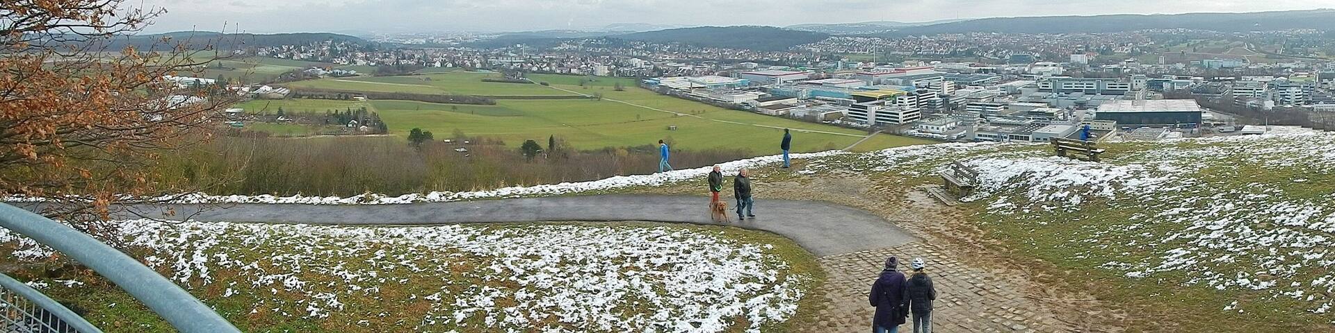 Grüner Heiner: Rundumblick