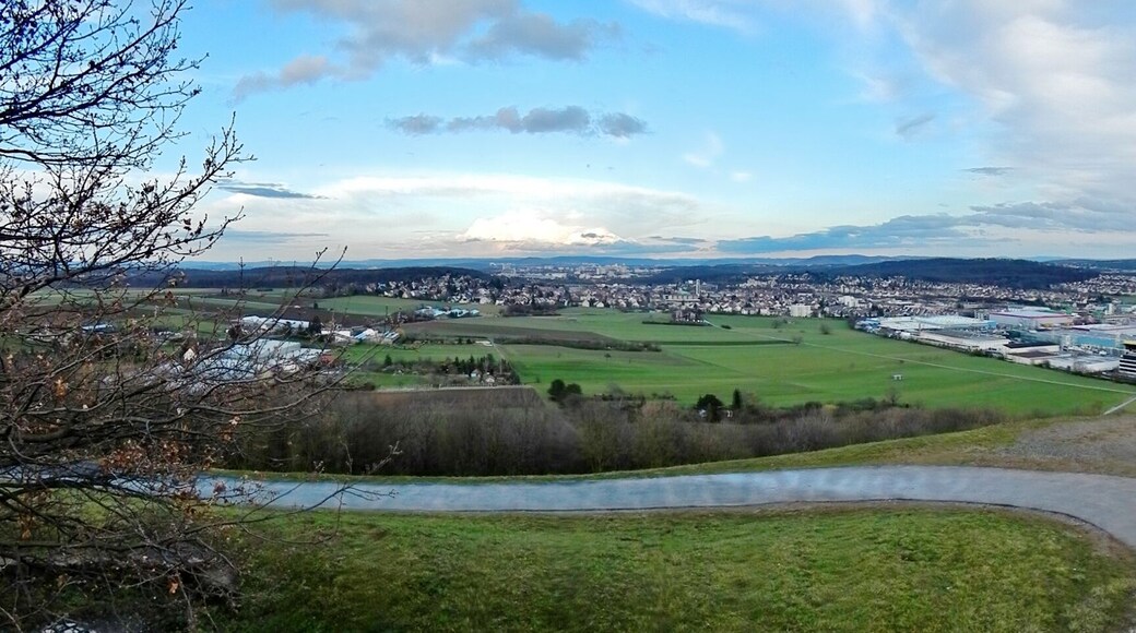 Ausblick vom grünen Heiner