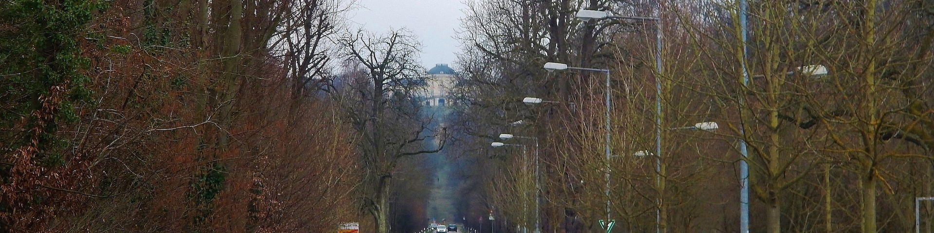 Solitudeallee (1763-1768 erschaffen, 13 km lang zwischen Lust- und Jagdschloss Solitude und der damaligen Haupt- und Residenzstadt Ludwigsburg) mit Blick bis zum Schloss Solitude