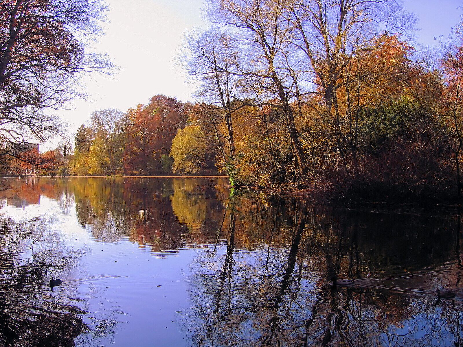 Die aufgestaute Alster bei der Schleuse in Hamburg-Poppenbüttel.