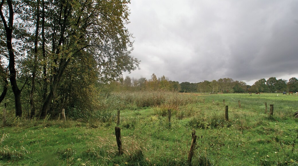Hamburg (Poppenbüttel), Germany: Where the Poppenbütteler Graben springs