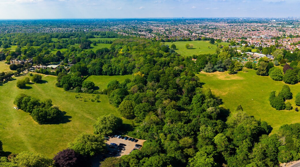 A lush green park with a parking lot, surrounded by dense trees and a distant cityscape.