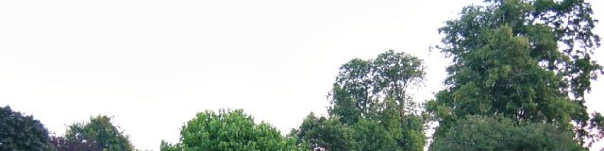 Flower Beds and trees. The flower beds are always colourful and well presented in Cheam park.