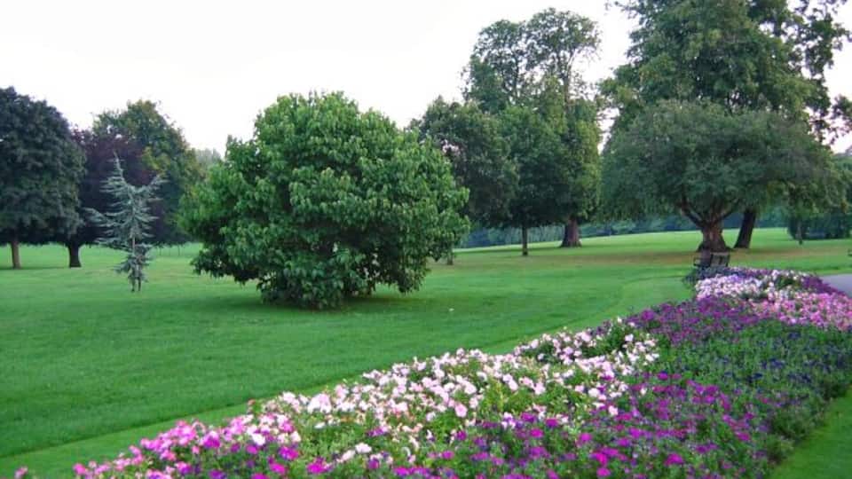 Flower Beds and trees. The flower beds are always colourful and well presented in Cheam park.