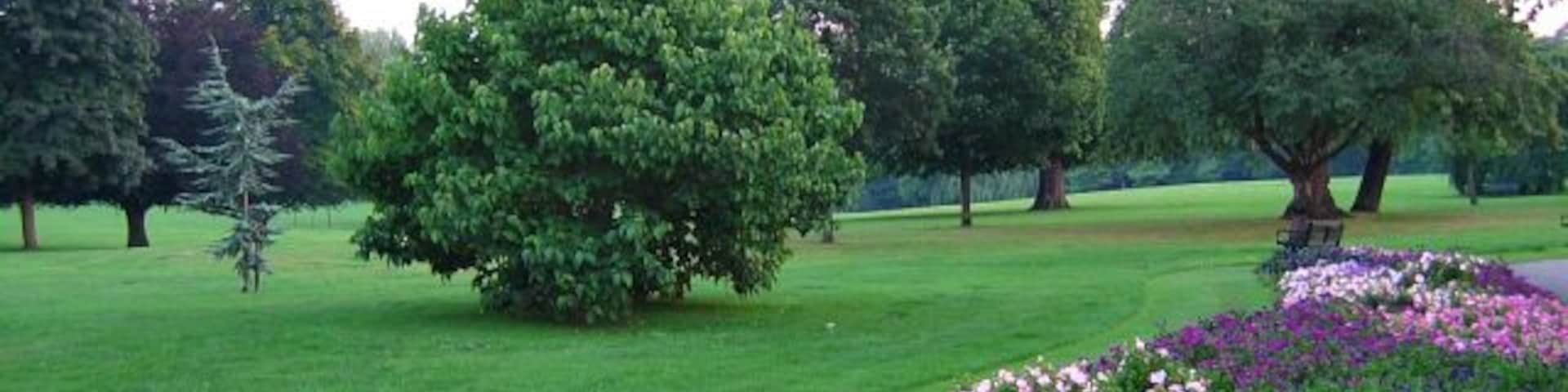 Flower Beds and trees. The flower beds are always colourful and well presented in Cheam park.