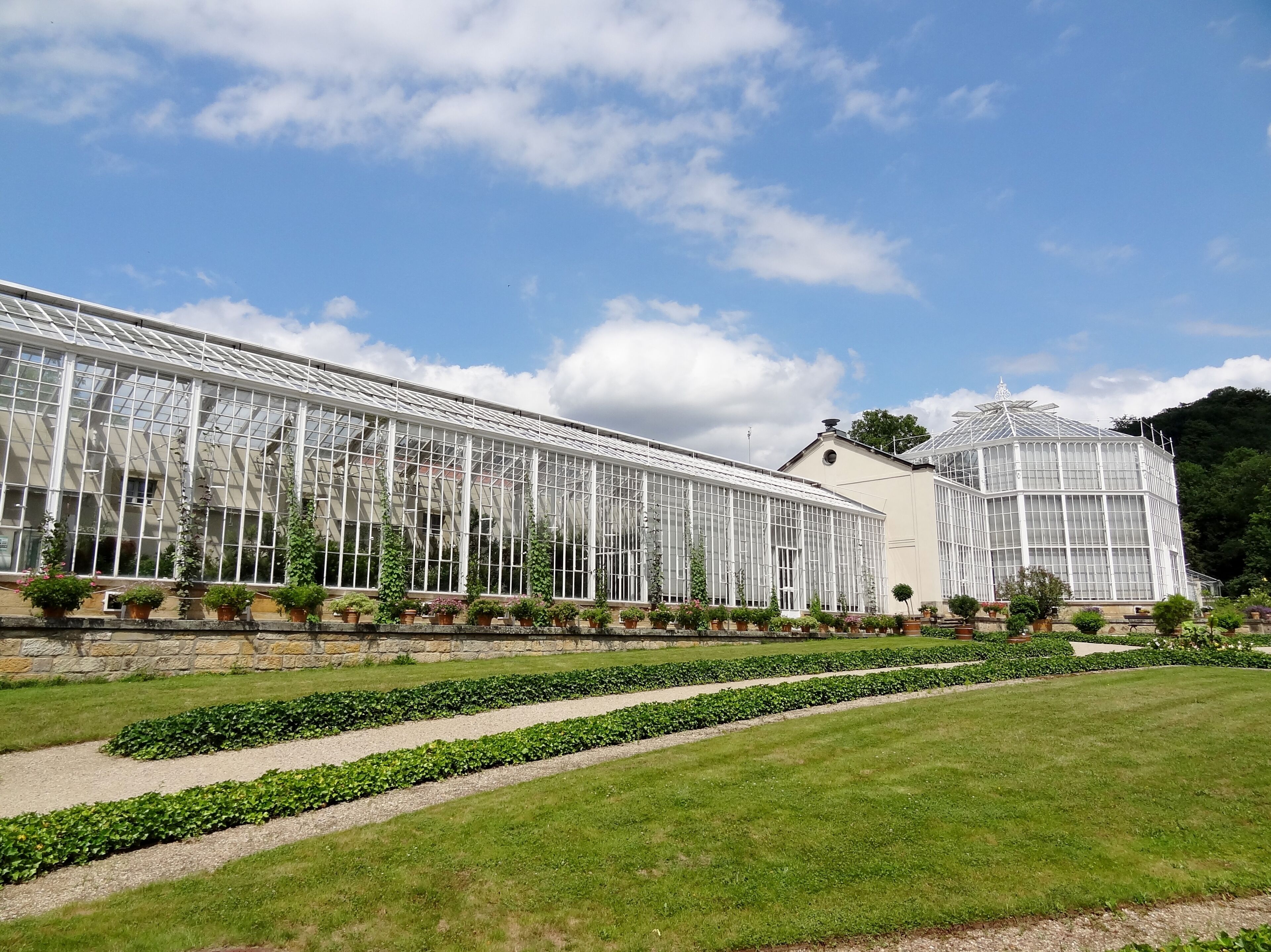 Palmenhaus im Schlosspark des Schlosses Pillnitz, Sachsen, Deutschland