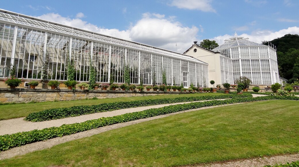 Palmenhaus im Schlosspark des Schlosses Pillnitz, Sachsen, Deutschland