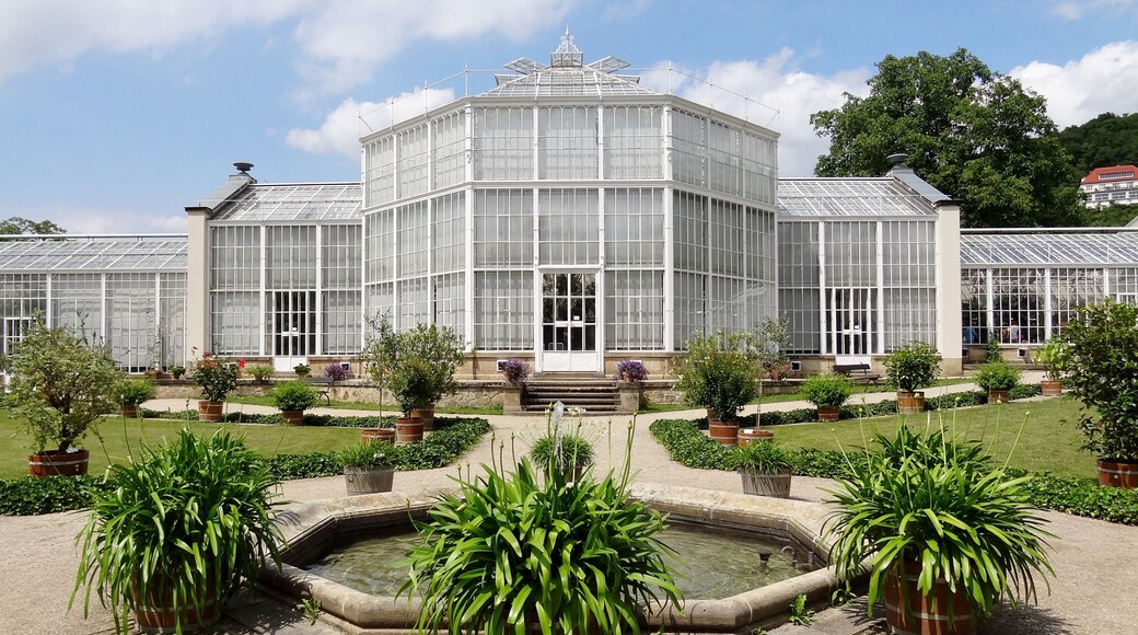 Palmenhaus im Schlosspark des Schlosses Pillnitz, Sachsen, Deutschland