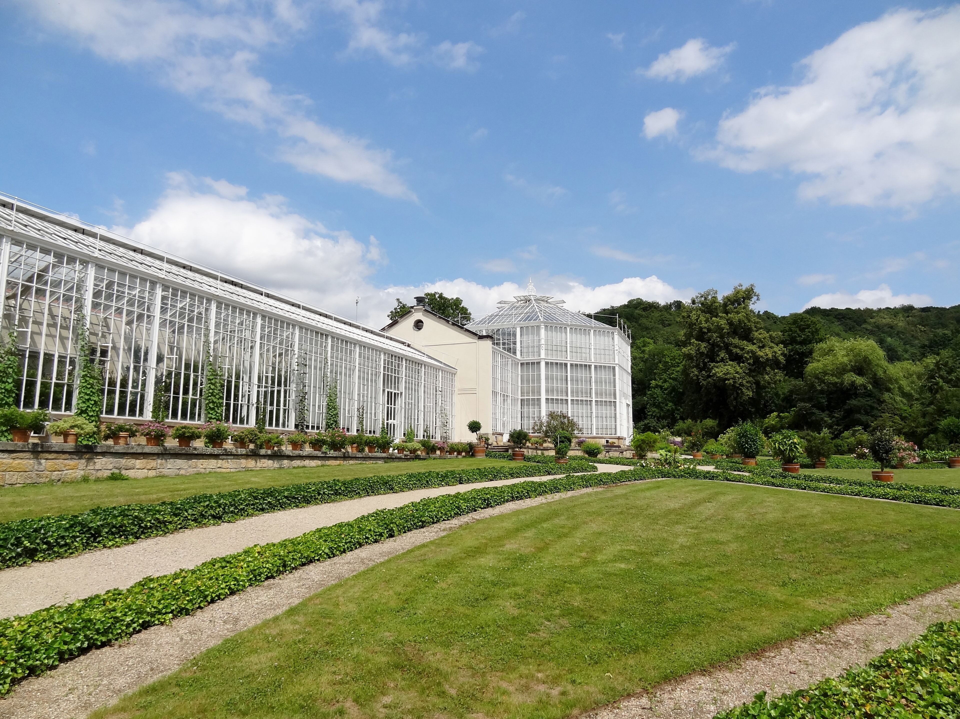 Palmenhaus im Schlosspark des Schlosses Pillnitz, Sachsen, Deutschland