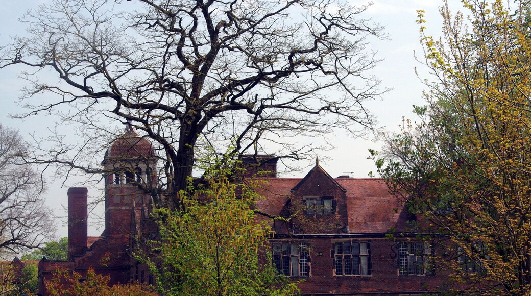 7.5.16 Castle Bromwich and 40s Day