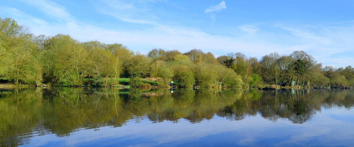 A calm river reflecting trees and a clear sky.