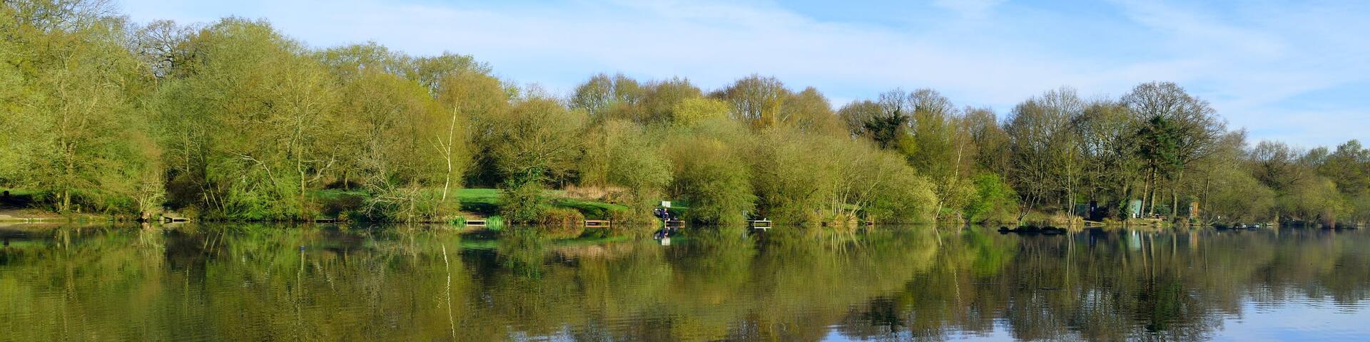 A calm river reflecting trees and a clear sky.