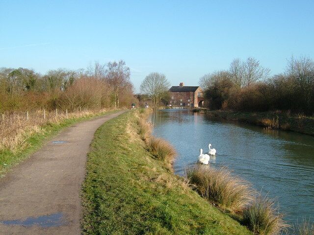 A narrow path beside a calm river with swans, surrounded by grass and trees, leading to a building.