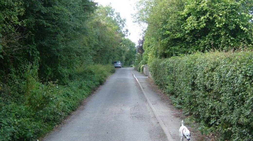 Park Road, Moira, in Leicestershire, was originally known as Lord Moira's Road and ran from a weighing station to a tramway, this shifting coal to the Ashby Canal.