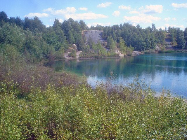 A calm lake surrounded by dense forest and a clear sky.