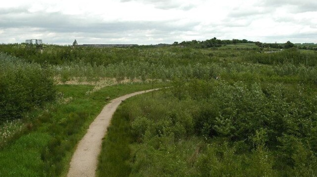 Conkers Discovery Centre.