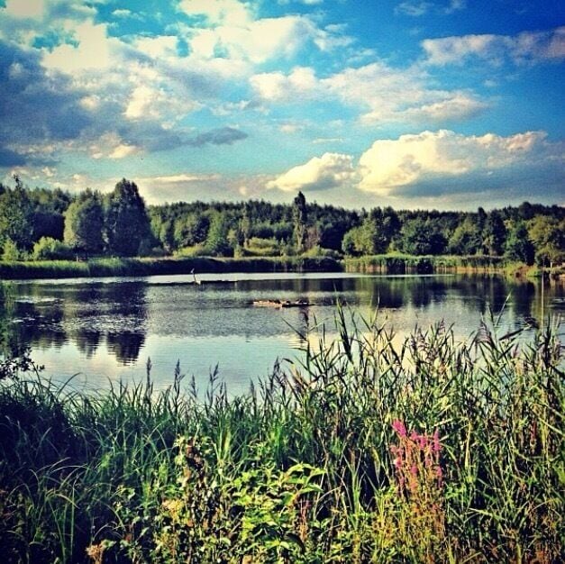 A calm lake surrounded by lush greenery and trees under a partly cloudy sky.