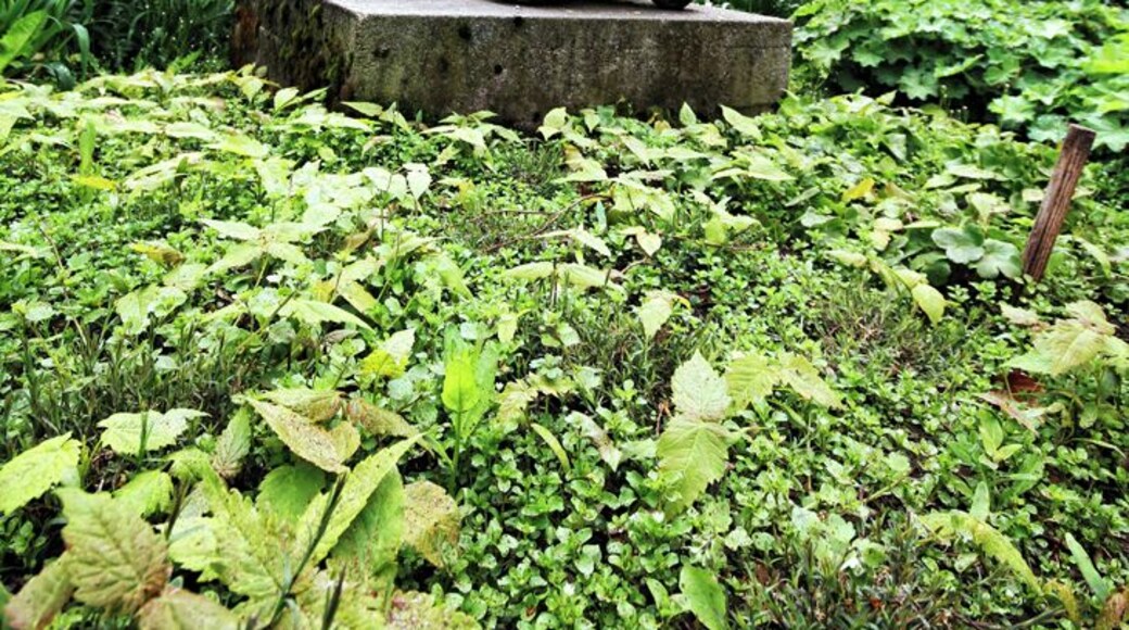 Relaxen im Schloßbergpark