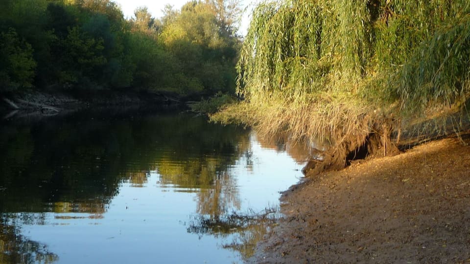Waldpark auf der Reißinsel