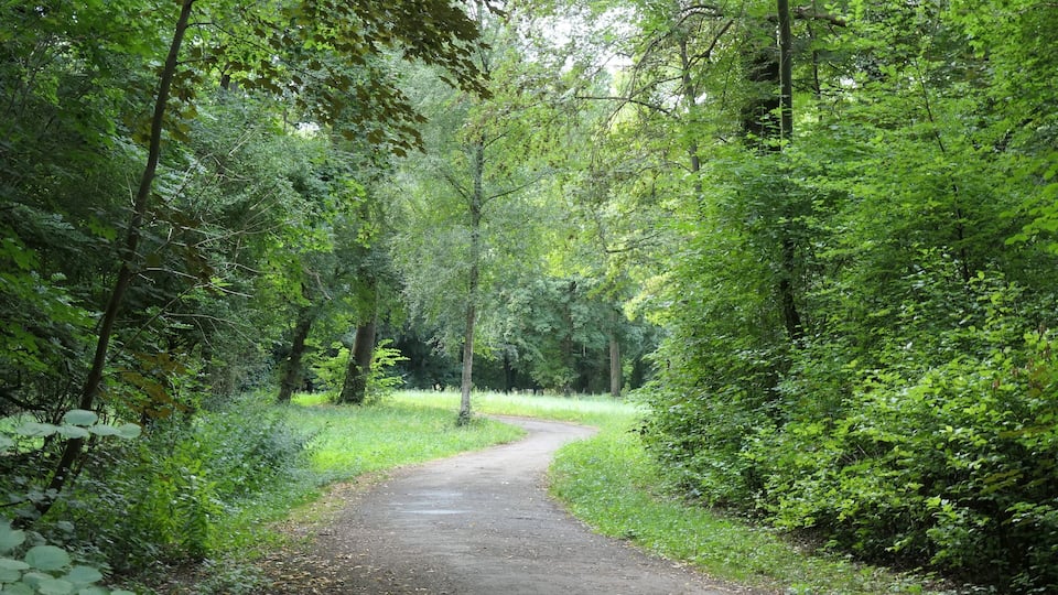 Forest park, Mannheim, Germany, Sternstr.