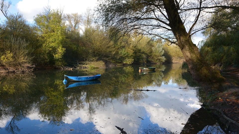Forest park, Mannheim, Germany, view over creek Bellenkrappen to nature reserve Reißinsel