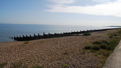 Beach & groyne, Tankerton