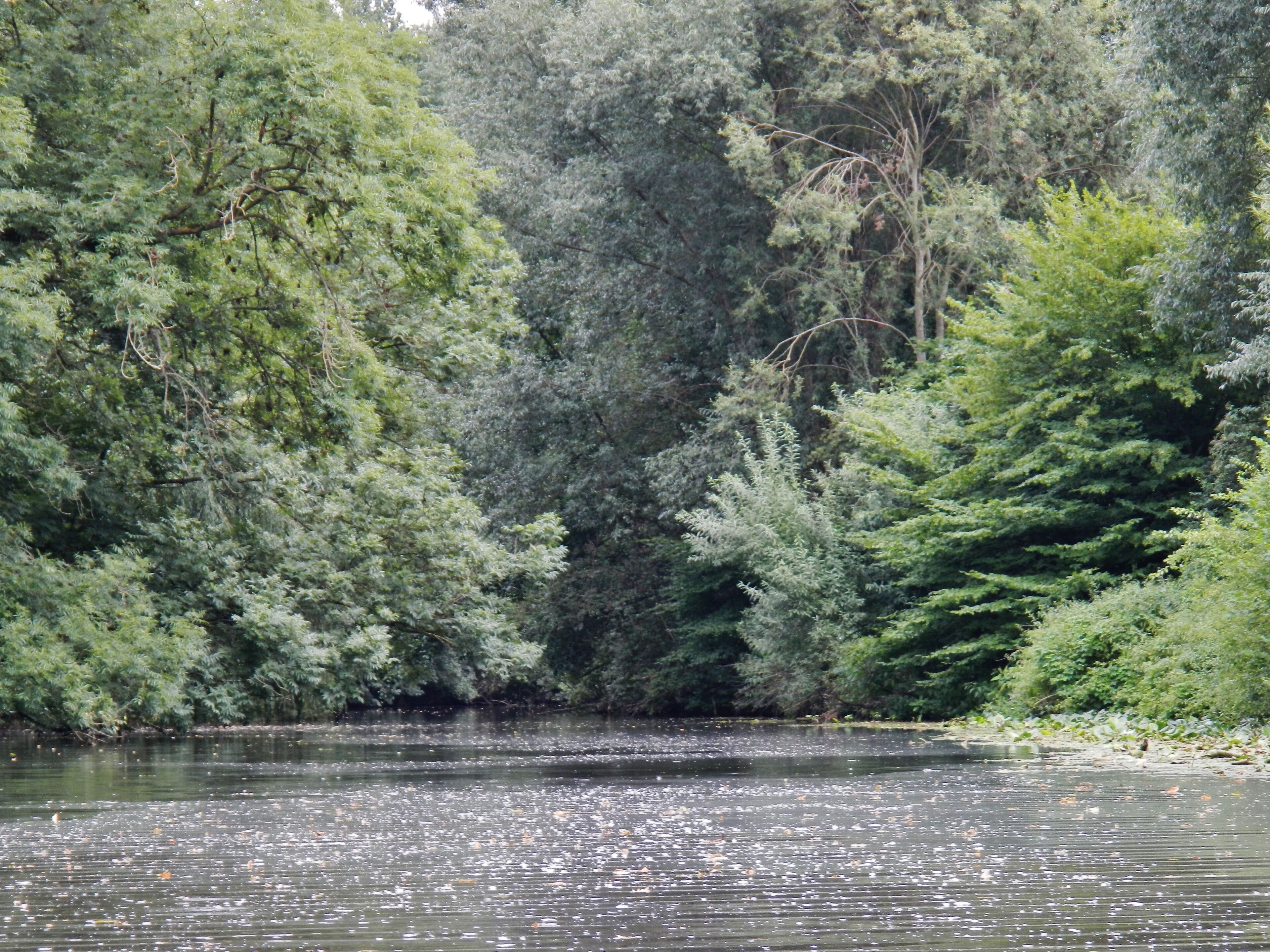 Die Werse bei Münster