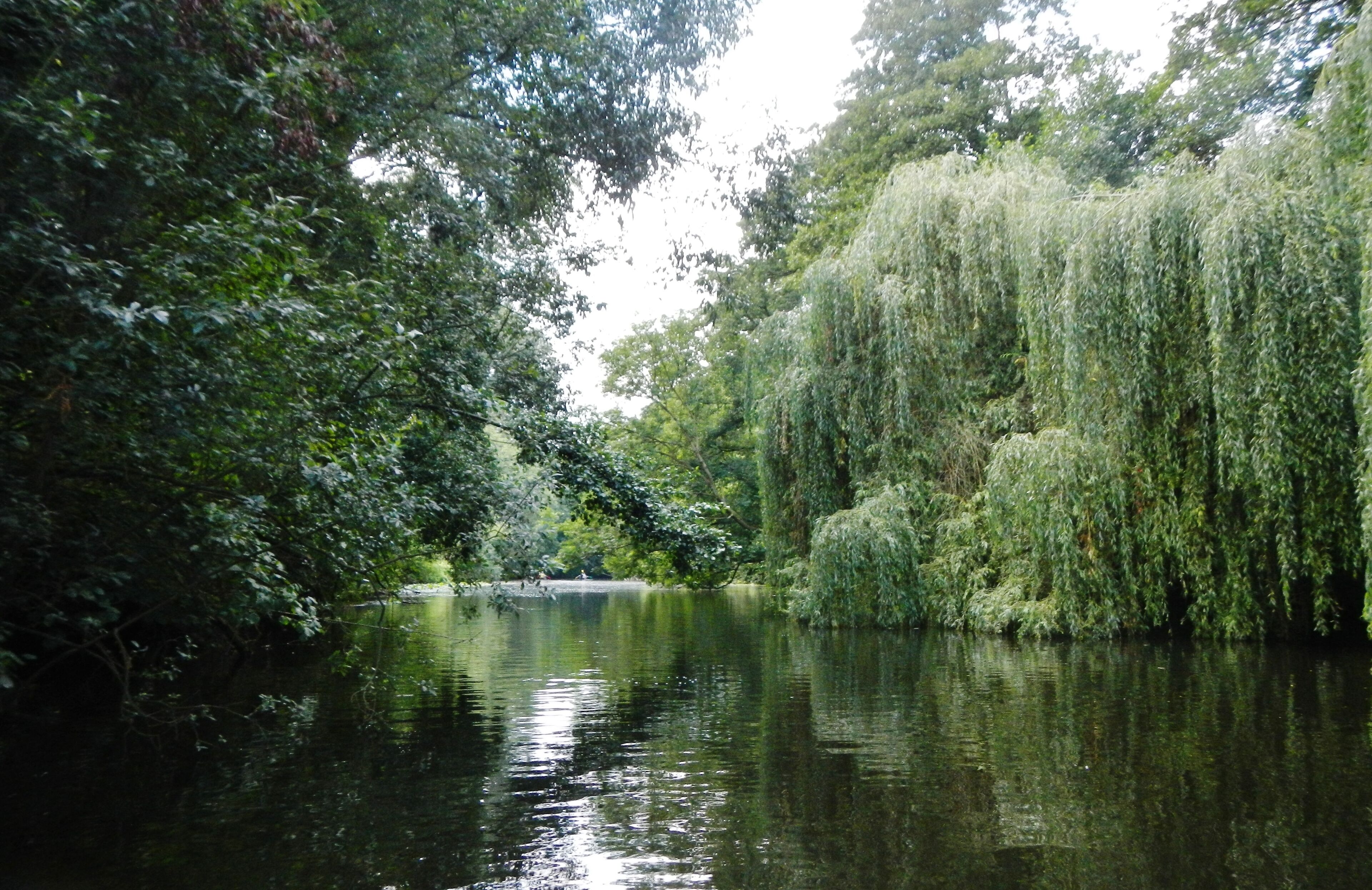 Die Werse in Münster