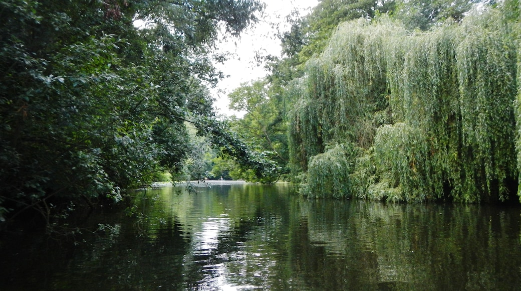 Die Werse in Münster