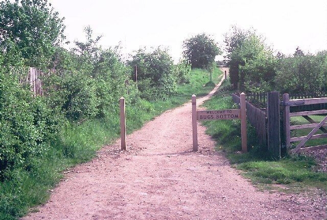 a.k.a. Bugs Bottom. The local name is so much more fun...