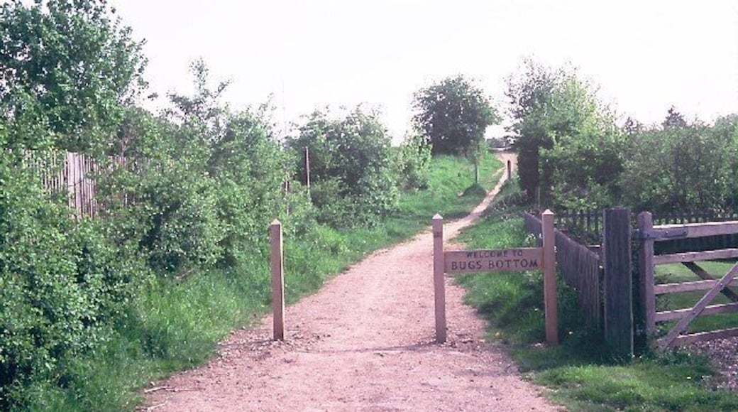 a.k.a. Bugs Bottom. The local name is so much more fun...