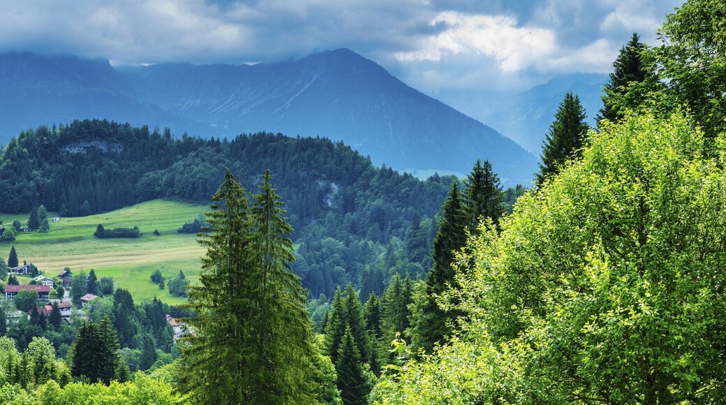 Tiefenbach, behind Entschenkopf, 2043m, Rubihorn, 1957m, and Schattenberg, 1845m, Allgäu Alps, Allgäu, Bavaria, Germany