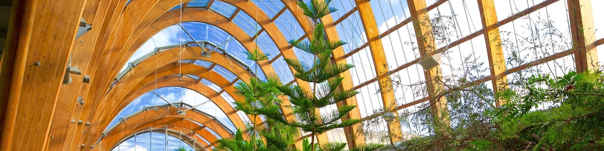 Eine große Holzkonstruktion mit Glasdach, umgeben von üppiger Vegetation und einem Weg.