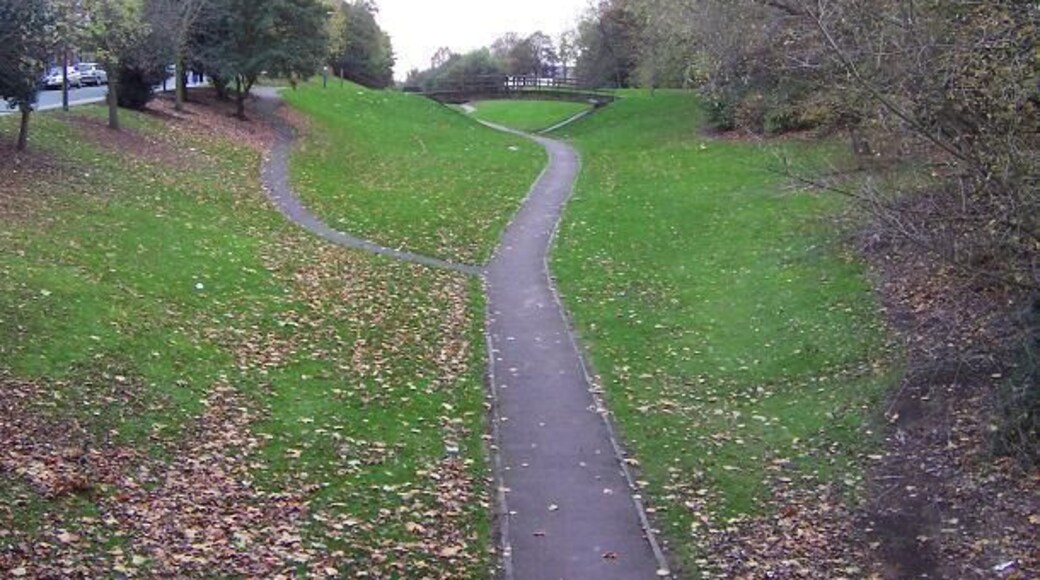 The Railway Cutting, Victoria Park, Darlaston.