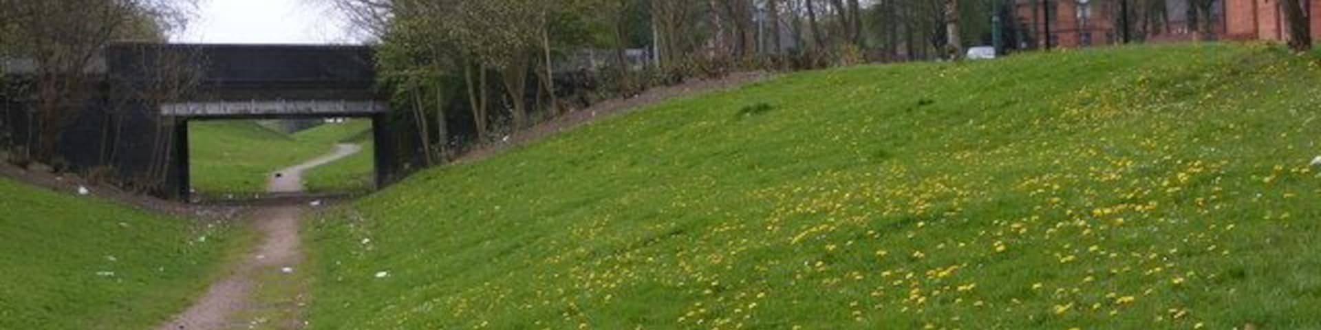 Darlaston Path The path off Victoria Road.