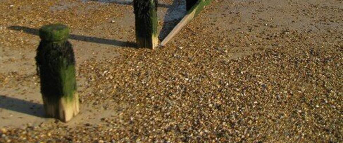 Low Level Lighthouse at Dovercourt The causeway, uncovered at low tide, leads to the lighthouse.