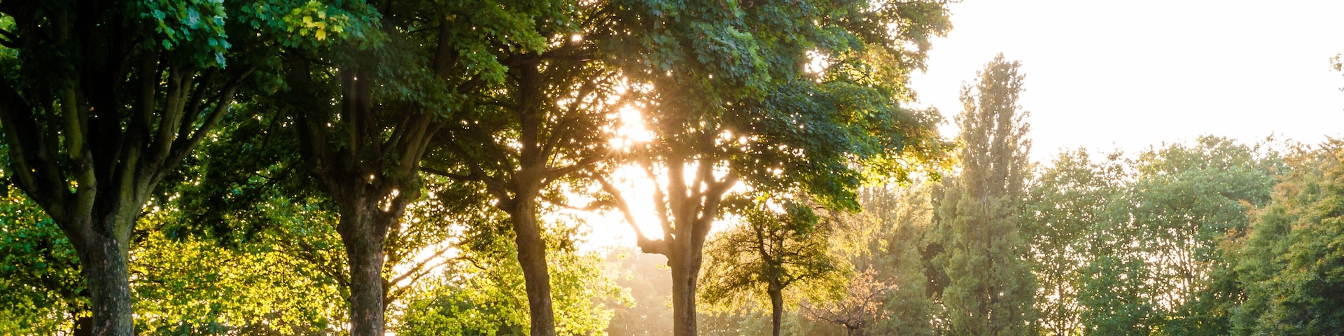 Sonnendurchfluteter Aston Park in Birmingham, Großbritannien
