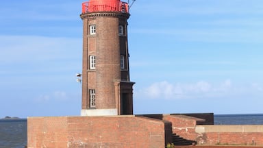 A brick lighthouse with a red dome and a weather vane on top, situated on a brick pier extending into calm waters.