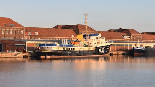 Packhalle X in Bremerhaven, Fischauktionsstraße 1